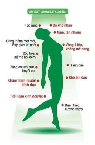 Nội tiết tố Women Phyto chiết xuất từ cỏ 3 lá, 90 viên