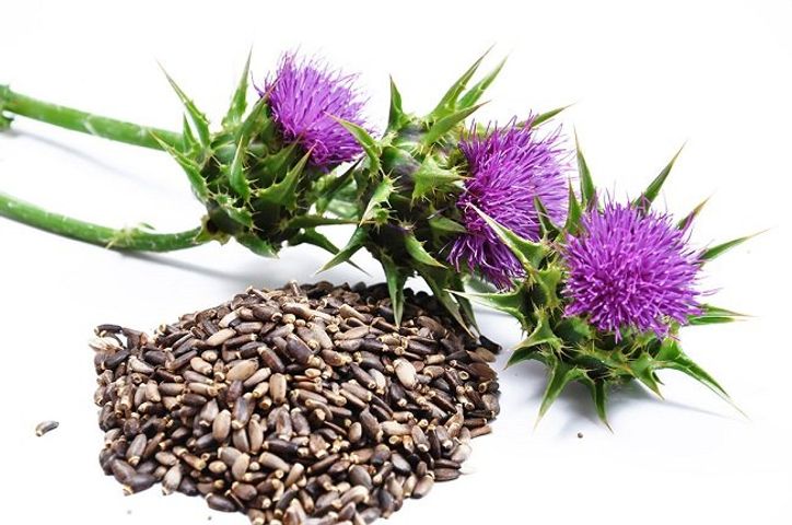 Viên Uống Hỗ Trợ Gan Đức - Milk Thistle Extract