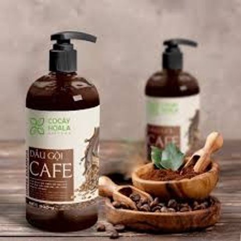 Dầu Gội Cà Phê Sạch Gàu Giảm Ngứa Phục Hồi Tóc Hư Tổn Cocayhoala 300g 61272