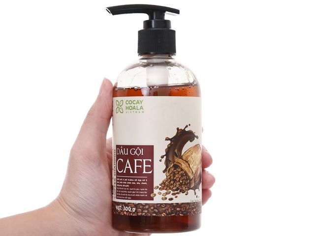 Dầu Gội Cà Phê Sạch Gàu Giảm Ngứa Phục Hồi Tóc Hư Tổn Cocayhoala 300g 61272