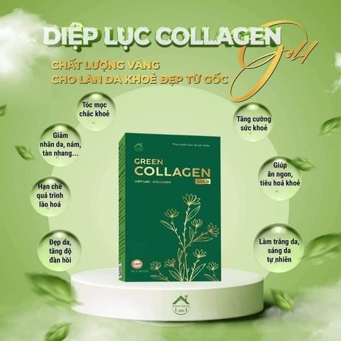 Diệp Lục Collagen Gold - Giúp Dưỡng Da, Mờ Nám Hiệu Quả