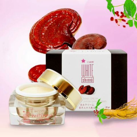 Bộ kem nám White Shinno và kem chống nắng 3W Clinic