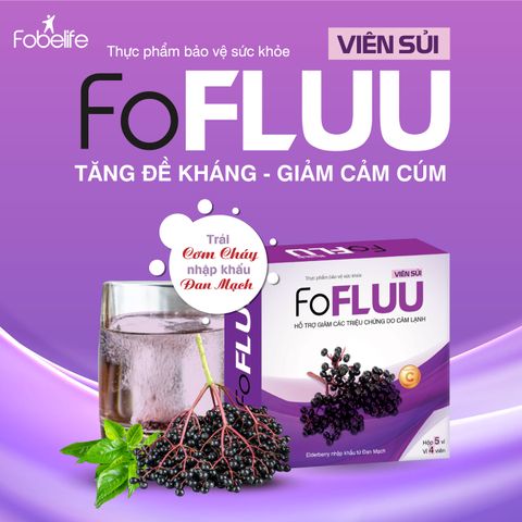 Viên Sủi Trái Cây FoFluu - Hỗ Trợ Giảm Cảm Lạnh, Ho, Sổ Mũi, Tăng Cường Đề Kháng, Vitamin C & Kẽm, Chiết Xuất Đan Mạch