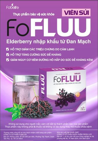Viên Sủi Trái Cây FoFluu - Hỗ Trợ Giảm Cảm Lạnh, Ho, Sổ Mũi, Tăng Cường Đề Kháng, Vitamin C & Kẽm, Chiết Xuất Đan Mạch