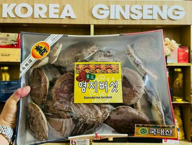 Nấm Linh Chi Núi Đá Hàn Quốc 1000g - Quà Biếu Cao Cấp Nấm Thảo Dược Tự Nhiên Bổ Sung Sức Khỏe và Tăng Cường Miễn Dịch