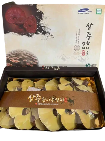 Nấm linh chi gỗ sồi SangJu Hàn Quốc hộp 1kg