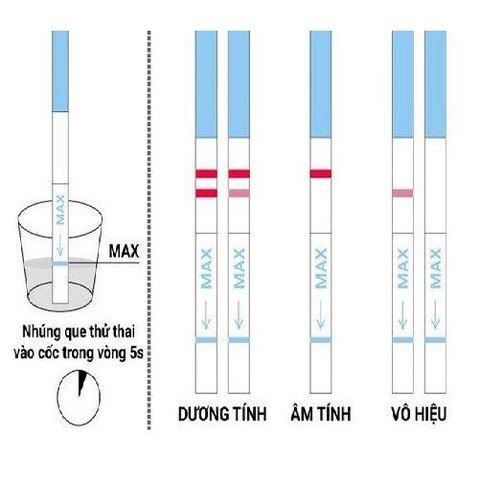 Que Thử Rụng Trứng PowerTest - Hộp 5 Chiếc