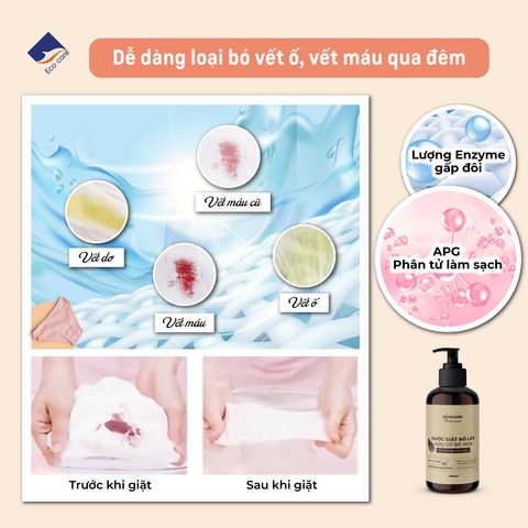 Nước giặt đồ lót hữu cơ bồ hòn Ecocare hương Cam Bạc Hà 300ml