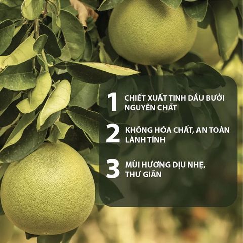 Dầu Gội Bưởi Hỗ Trợ Mọc Tóc Milaganics 750ml Grapefruit Shampoo