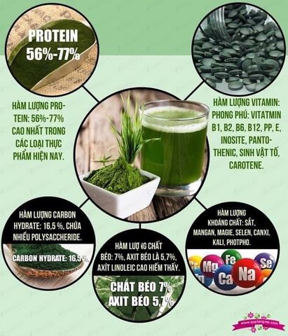 Tảo xoắn Nhật Bản Spirulina 2000 viên - Siêu thực phẩm tăng cường sức khỏe, bổ sung dinh dưỡng và hỗ trợ giảm cân hiệu quả.