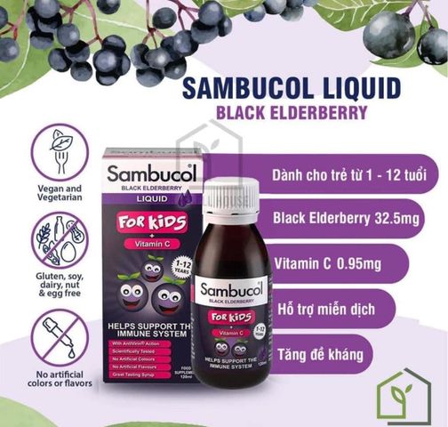 Siro Tăng Đề Kháng Sambucol - Dạng Lỏng Cho Trẻ 1-12 Tuổi, Chứa Vitamin C và Kẽm, Hỗ Trợ Miễn Dịch Từ Quả Cơm Cháy Anh Quốc