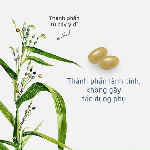 Viên uống trắng da Coix Nhật Bản DHC - 20 viên (20 ngày) - Chiết xuất thiên nhiên, làm trắng da, dưỡng ẩm, chống lão hóa