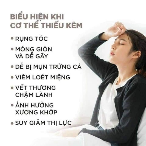 Viên Uống Bổ Sung Kẽm DHC Nhật Bản - Hỗ Trợ Chống Rụng Tóc, Mụn, Tăng Cường Miễn Dịch