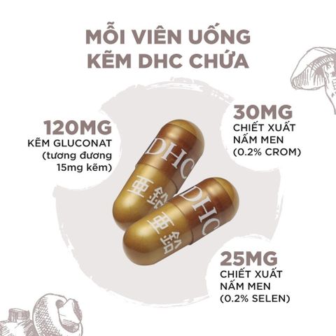 Viên Uống Bổ Sung Kẽm DHC Nhật Bản - Hỗ Trợ Chống Rụng Tóc, Mụn, Tăng Cường Miễn Dịch