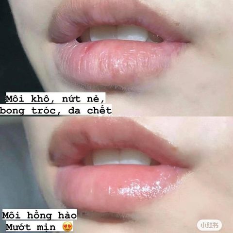 Son Dưỡng Mỡ Hươu Không Màu 4.7g - Astrid, Dưỡng Ẩm Mềm Mại, Phục Hồi Môi Nứt Nẻ, Lip Balm Tự Nhiên từ Cộng Hòa Séc