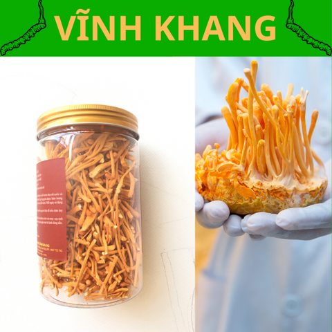 Hũ 50g Đông Trùng Hạ Thảo Khô VINAKA của Vĩnh Khang , Sấy Thăng Hoa