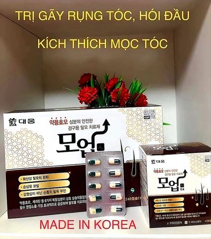 Viên uống giúp giảm rụng tóc, dưỡng tóc Daewoong Hàn Quốc 240 viên