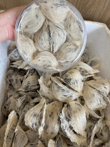 Yến Thô Nguyên Tổ Gia Lộc Khánh Hòa 100g - Tổ Yến Dinh Dưỡng Tự Nhiên, Giúp Tăng Cường Sức Khỏe và Làm Đẹp Da