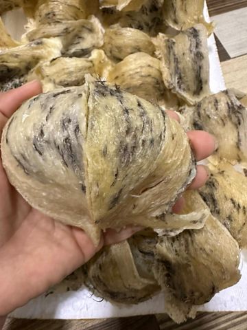 Yến Thô Nguyên Tổ Gia Lộc Khánh Hòa 100g - Tổ Yến Dinh Dưỡng Tự Nhiên, Giúp Tăng Cường Sức Khỏe và Làm Đẹp Da