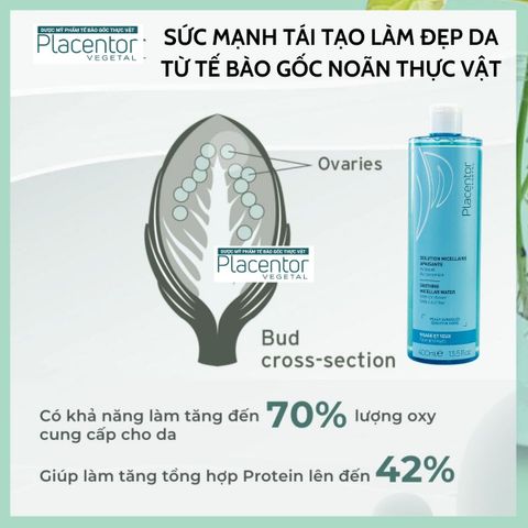 Nước Tẩy Trang Placentor Soothing Micellar Water 400ML - Giải Pháp Dưỡng Ẩm, Làm Dịu Cho Da Nhạy Cảm, Tẩy Trang Hiệu Quả