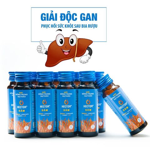 Nước Đông Trùng Hạ Thảo Hector Sâm Hàng Chính Hãng