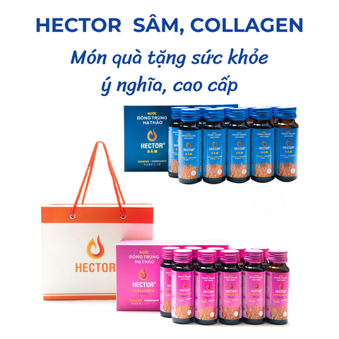 Nước Uống Hector Collagen Đông Trùng Hạ Thảo Hàng Chính Hãng