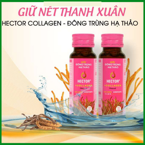 Nước Uống Hector Collagen Đông Trùng Hạ Thảo Hàng Chính Hãng