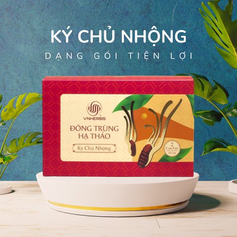Đông Trùng Hạ Thảo Ký Chủ Nhộng Hộp Giấy 60 Con - Tăng Cường Sức Khỏe, Bồi Bổ Cơ Thể Cho Người Cao Tuổi