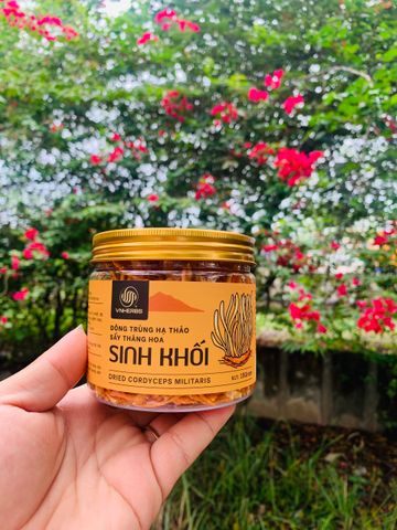 Đông Trùng Hạ Thảo Sinh Khối Khô VnHerbs 15g - Thực Phẩm Chức Năng Tăng Cường Sức Khỏe, Hỗ Trợ Lão Hóa, Cải Thiện Sinh Lý