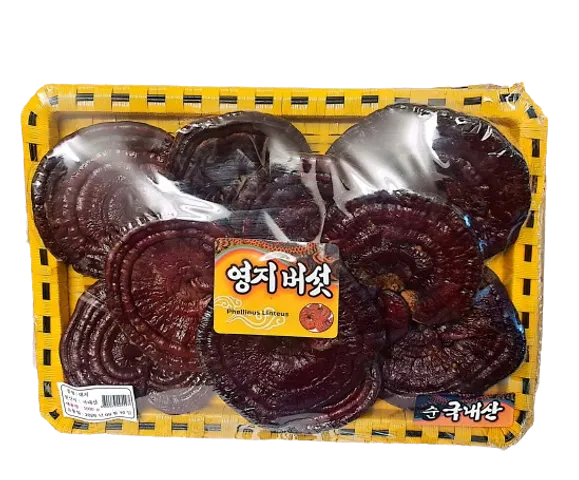 Nấm linh chi đỏ Hàn Quốc đóng khay mây 1 kg