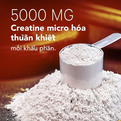 Bột hỗ trợ tăng cơ Codeage Liposomal Creatine Mononhydrate