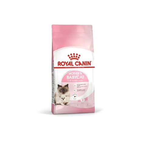 Thức Ăn Hạt Cho Mèo Mẹ & Mèo Con Royal Canin Mother & Babycat