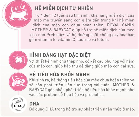 Thức Ăn Hạt Cho Mèo Mẹ & Mèo Con Royal Canin Mother & Babycat