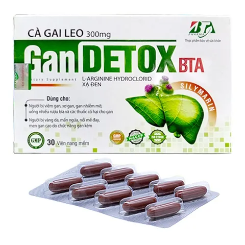 Gan Detox - Hỗ trợ gan, thanh lọc, giải độc (H/30 viên)
