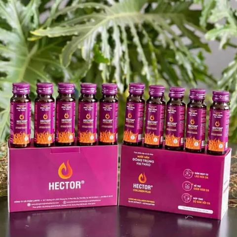 Nước Nấm Đông Trùng Hạ Thảo Hector Collagen Plus 50ml - Hỗ Trợ Làm Đẹp Da, Giảm Nám Hiệu Quả (Hộp 10 Chai)