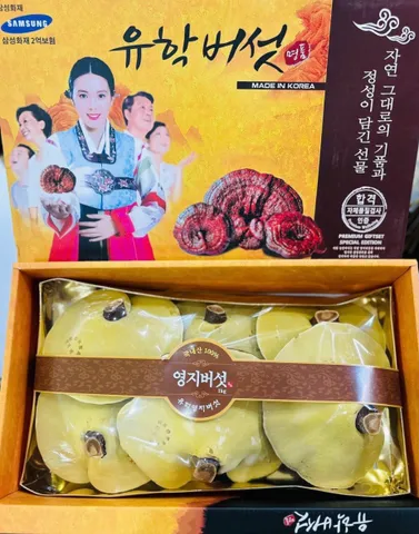 Nấm Linh Chi Uhak Mushroom Hàn Quốc hộp 1 kg