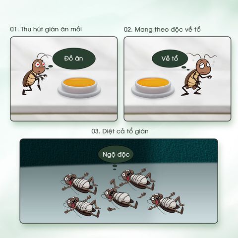 Viên diệt gián sinh học AMB hộp 8 viên - Đuổi diệt mọi loại gián nhanh chóng, an toàn cho gia đình và vật nuôi