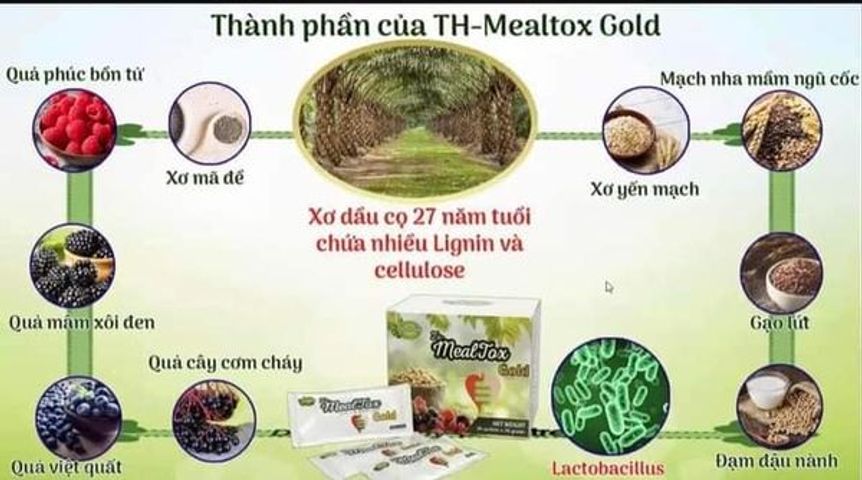 TH Mealtox Gold - Thực Phẩm Bảo Vệ Sức Khỏe Giảm Cân, Detox, Hỗ Trợ Tiêu Hóa, Bổ Sung Chất Xơ - Hộp 30 Gói