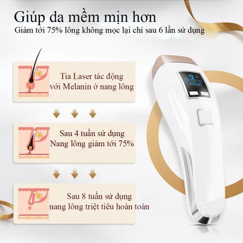 Máy triệt lông IPL Laser CLALYFA làm lạnh vùng da Wax cao cấp Nhật Bản