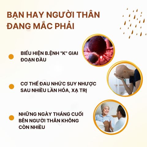 Viên Uống Tảo Nâu Fucoidan Umi No Shizuku - Bổ Sung Sức Khỏe, 120 Viên Nhật Bản, Tăng Cường Sức Đề Kháng, Chất Lượng Cao