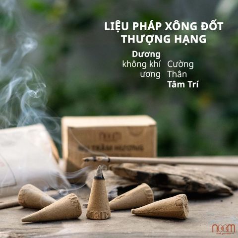 Nụ Trầm Hương Noom - Sản Phẩm Tự Nhiên Khử Mùi Hiệu Quả Cho Không Gian Sống Trong Lành Và Thoải Mái