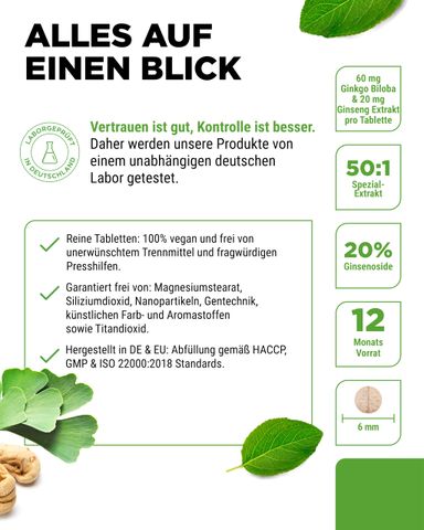 Viên uống bổ não Vit4ever Ginkgo Biloba + Nhân sâm Vegan 365 viên - Tăng cường trí nhớ, hỗ trợ sức khỏe não bộ, giảm căng thẳng.
