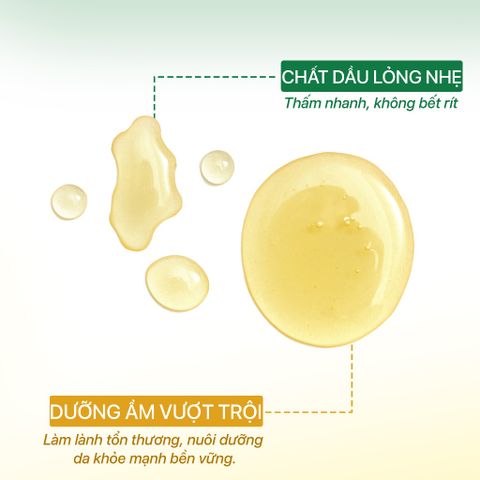 Dầu Dưỡng Da Giảm Rạn Mờ Sẹo Thấm Nhanh GUO Body Light Oil Formula (50ml/150ml)