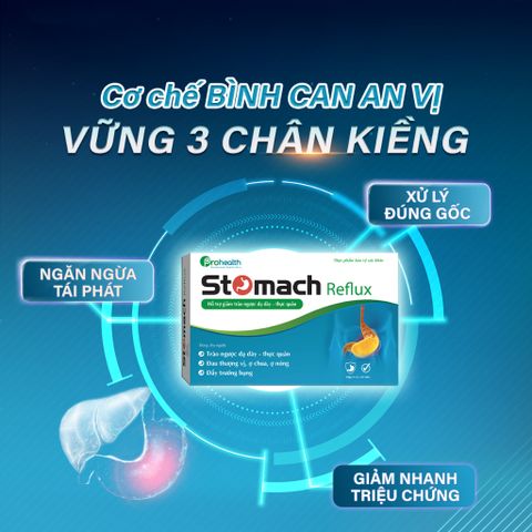 Viên Uống Hỗ Trợ Giảm Trào Ngược Dạ Dày - Stomach Reflux Vesta, Giảm Ợ Chua, Đau Thượng Vị, Đầy Trướng 30 Viên