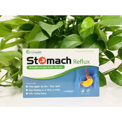 Viên Uống Hỗ Trợ Giảm Trào Ngược Dạ Dày - Stomach Reflux Vesta, Giảm Ợ Chua, Đau Thượng Vị, Đầy Trướng 30 Viên