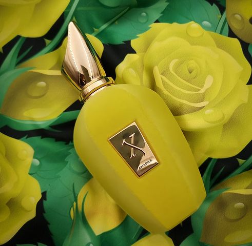 Nước hoa Xerjoff Amabile Unisex - Hương Gỗ Sang Trọng & Tươi Mát - Eau De Parfum Perfect Cho Mọi Dịp