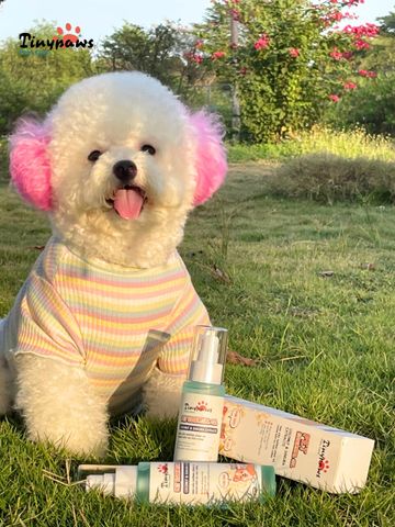 Tinh Dầu Dưỡng Lông Chó Mèo TINYPAWS Lông chắc khoẻ bóng mượt