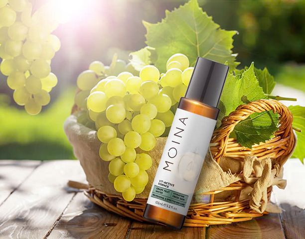 Serum Trẻ Hóa Moina - Chống Nhăn, Cấp Ẩm, Chiết Xuất Nho Xanh, Làm Sáng Da, Thu Nhỏ Lỗ Chân Lông, Dưỡng Da Tươi Sáng