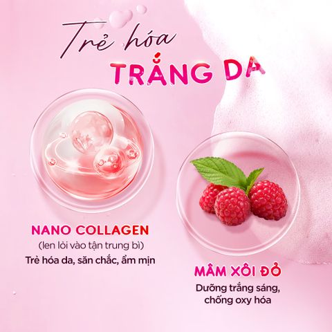 Sữa Tắm Chức Năng Nano Collagen Sắc Ngọc Khang 500g - Dưỡng Trắng Mịn Màng, Hương Hoa Anh Đào Quyến Rũ, Chống Lão Hóa Da