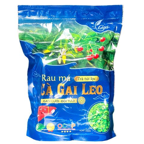 Trà Túi Lọc Rau Má Cà Gai Leo GIGA 250g - Giải Độc Mát Gan, Thanh Nhiệt Từ Thiên Nhiên, Trà Thảo Mộc Việt Nam